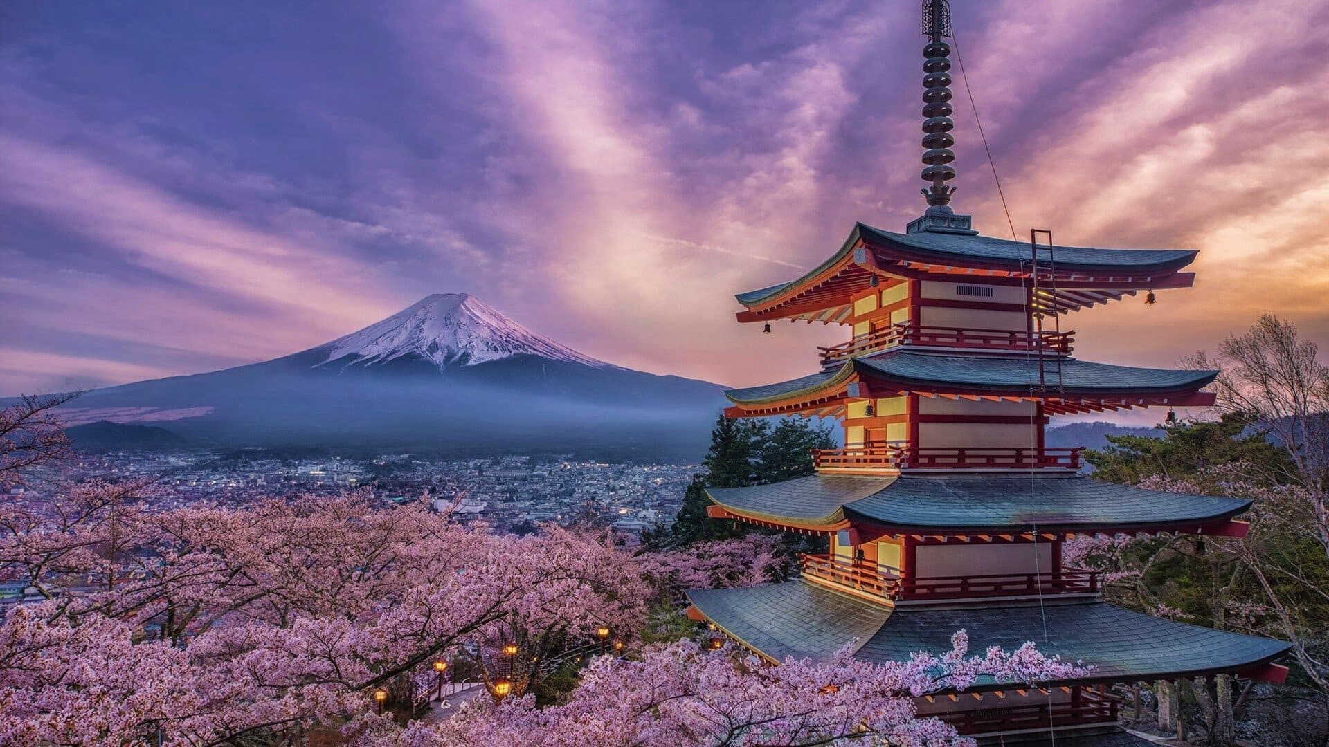 Best of Japan Cherry Blossom